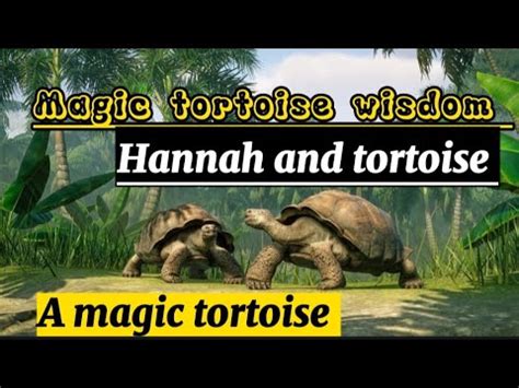 The Magical Talking Tortoise – Eine Geschichte von Weisheit, Überlegenheit und dem Wert der Geduld!